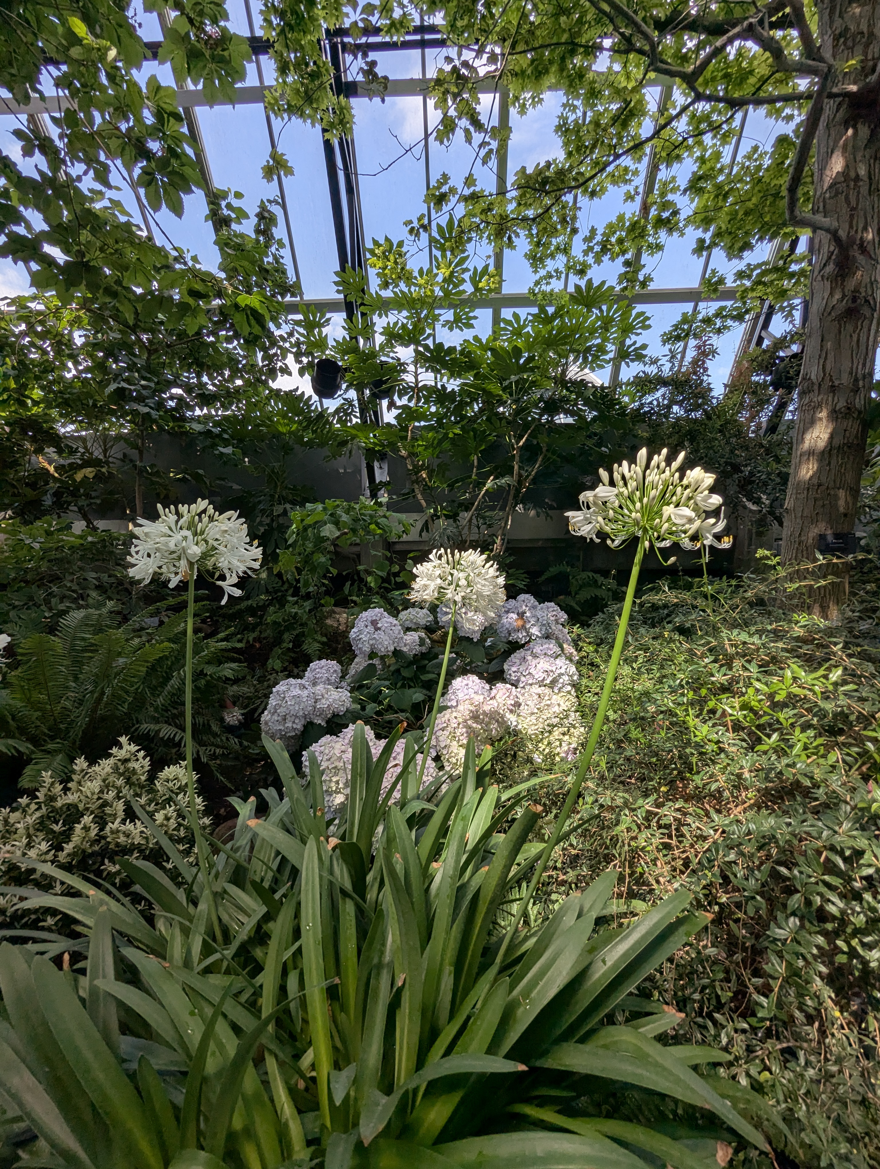 Birthday Trip to Canada, Edmonton, Pyramids, Muttart Observatory